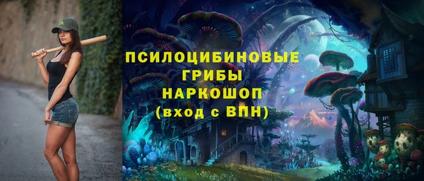 мдпв Краснотурьинск