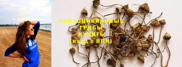 мдпв Краснотурьинск